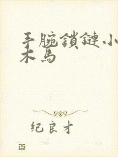 手腕锁链小黑屋木马