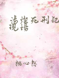 汤灿死刑犯枪决现场