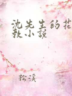 沈先生的花式调教小说