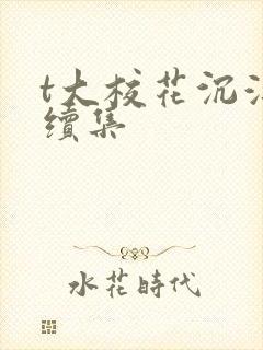 t大校花沉浮录续集