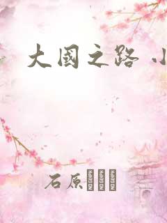 大国之路 小说