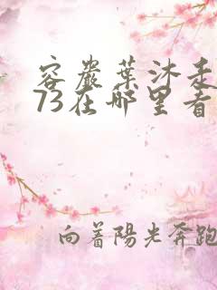 容岩叶沐走着做73在哪里看
