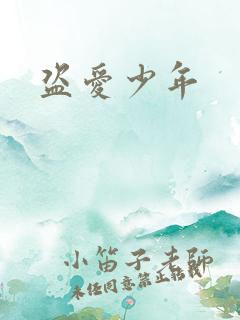 盗爱少年