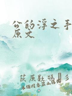公的浮之手中字原文