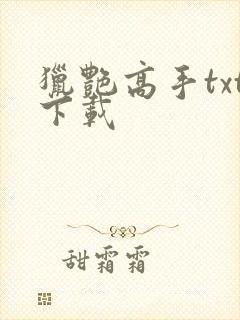 猎艳高手txt下载