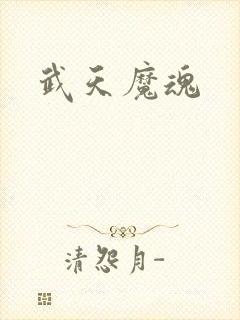 武天魔魂