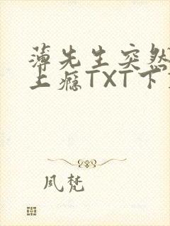 薄先生突然黏她上瘾TXT下载