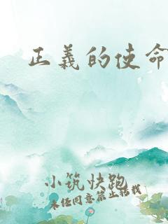 正义的使命小说