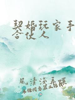 契婚玩家手册之合伙人