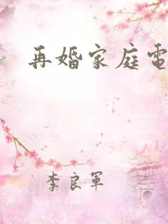 再婚家庭电视剧