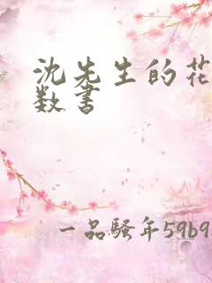 沈先生的花式调数书