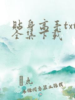 贴身高手txt全集下载