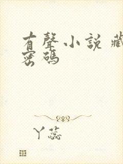 有声小说 藏地密码