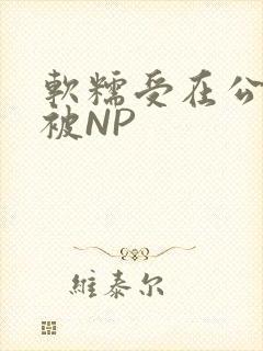 软糯受在公交车被NP