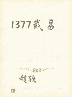 1377武易