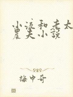 小流和老太69农夫小说