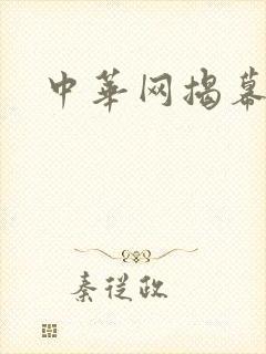 中华网揭幕内参