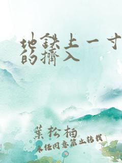 地铁上一寸一寸的挤入