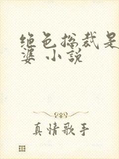 绝色总裁是我老婆 小说