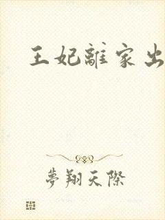 王妃离家出走