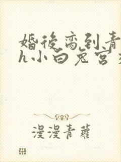 婚后脔到青梅哭h小白兔宫交h