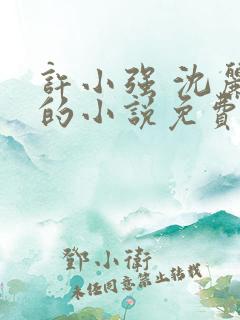 许小强 沈丽娟的小说免费阅读