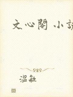 文心阁 小说