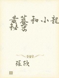 黄蓉和小龙女的秘密