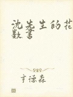 沈先生的花式调数书