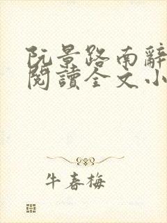 阮景路南辞免费阅读全文小说