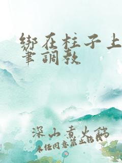 绑在柱子上用毛笔调教