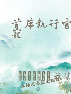 首席执行官的绝宠