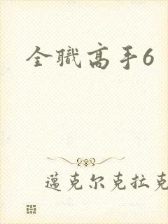 全职高手6