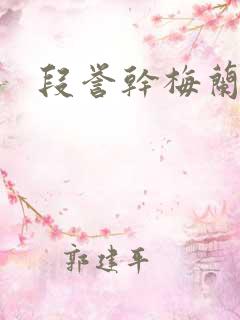 段誉干梅兰竹菊