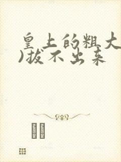 皇上的粗大(h)拔不出来