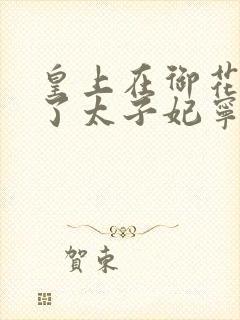 皇上在御花园C了太子妃宁儿