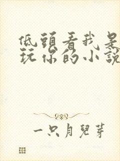低头看我是怎么玩你的小说