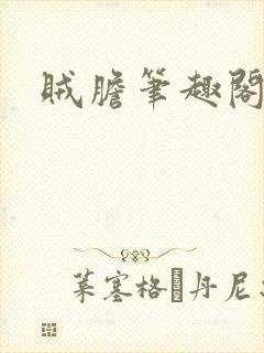 贼胆笔趣阁