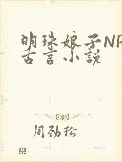 明珠娘子NPC古言小说