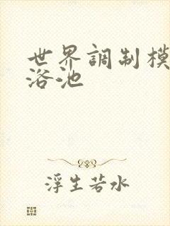 世界调制模式女浴池