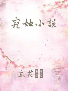 宠她小说
