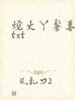 烧火丫鬟喜洋洋txt