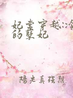 妃常穿越:冷王的孽妃