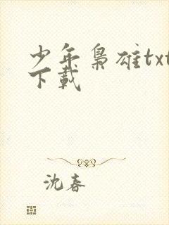少年枭雄txt下载