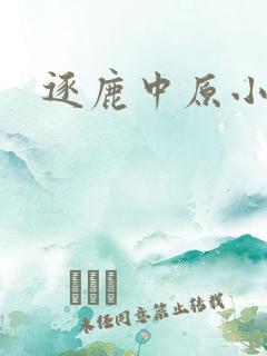 逐鹿中原小说