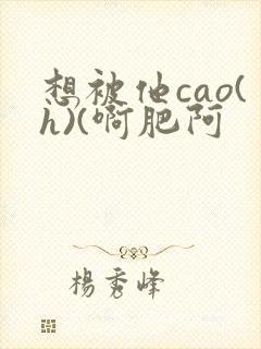 想被他cao(h)(啊肥阿