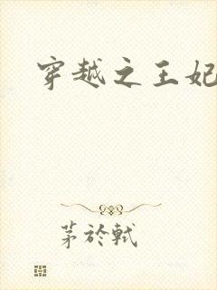 穿越之王妃有孕