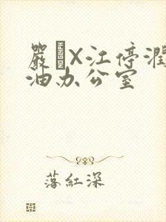 严峫X江停润滑油办公室