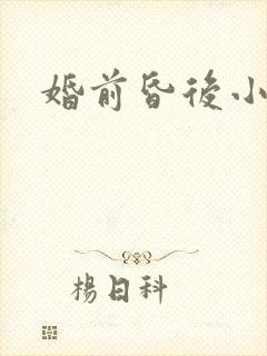 婚前昏后小说