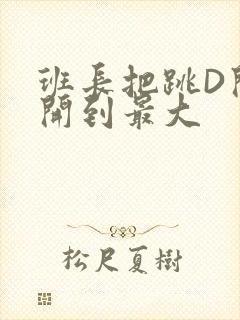 班长把跳D开关开到最大